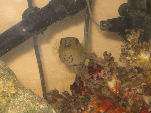 Picture or Video 035.jpg