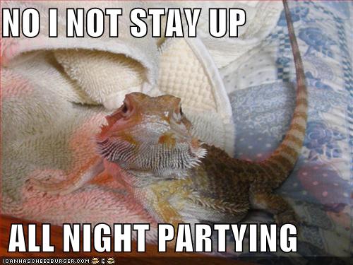 noinotstayup128509652162055407.jpg