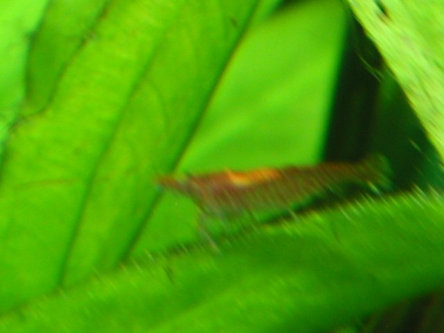 PIC00013.JPG