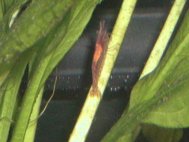 PIC00014.JPG