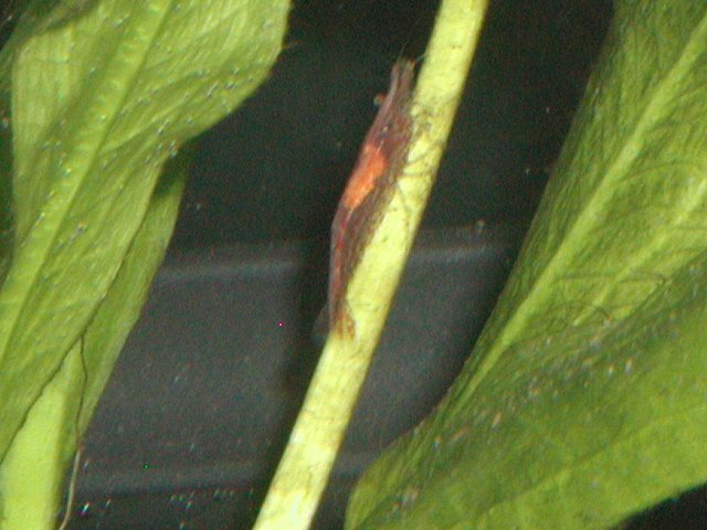 PIC00015.JPG
