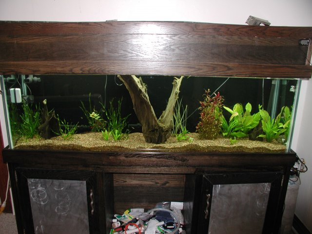 PIC00019.JPG