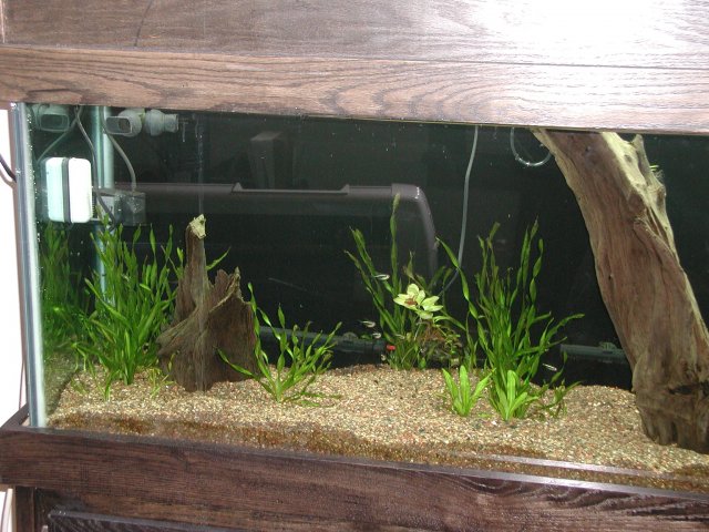PIC00020.JPG