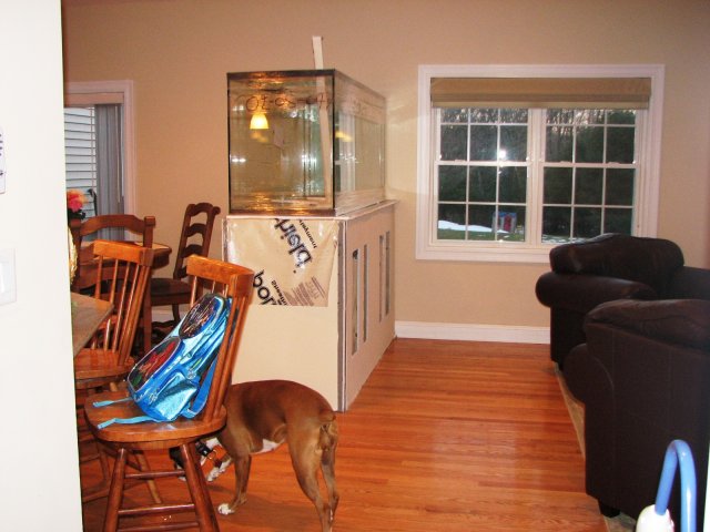 Pennisula Placement 011.jpg