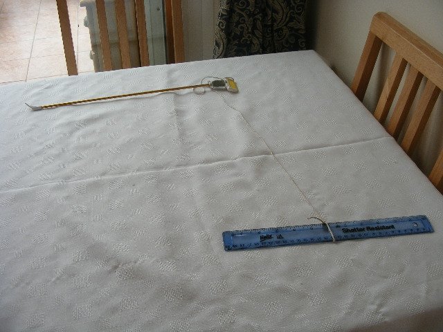 2008_0327tank0001.JPG