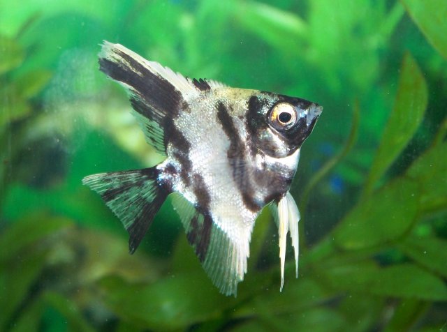 recent (march) 006.jpg