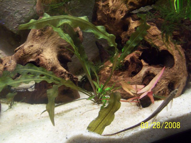 tank 003.jpg