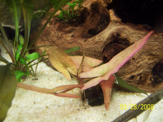 tank 004.jpg