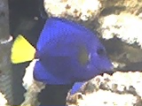 03-28-08_2034.jpg