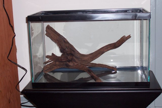 100_9416.JPG