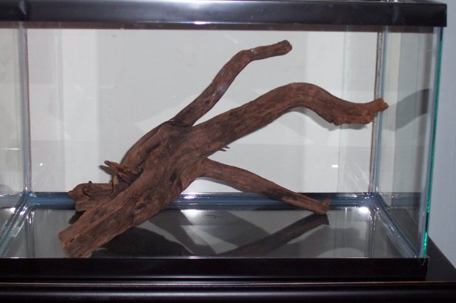 100_9417.JPG 100_9417.JPG