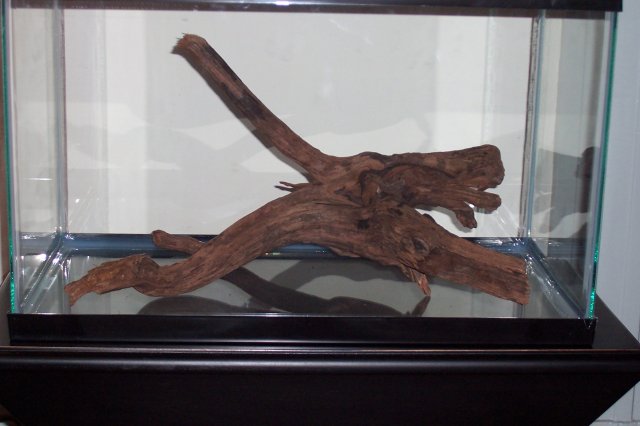 100_9419.JPG