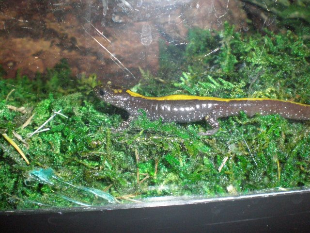 Picture 133.jpg