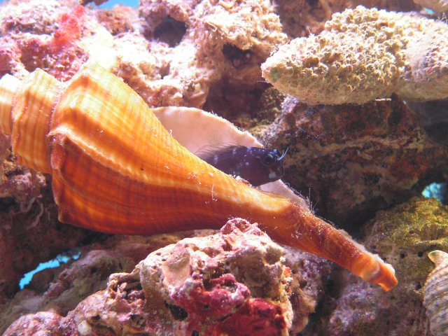 First fish 038.jpg
