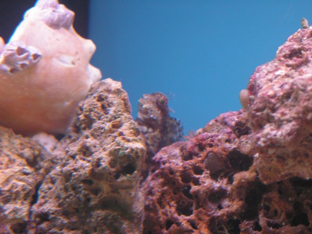 First fish 041.jpg