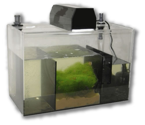 refugium30-large.jpg