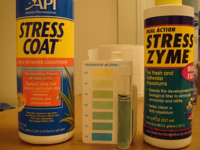 pic3.jpg