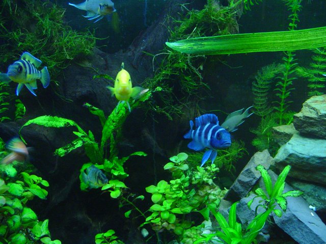 DSC00944.JPG DSC00944.JPG