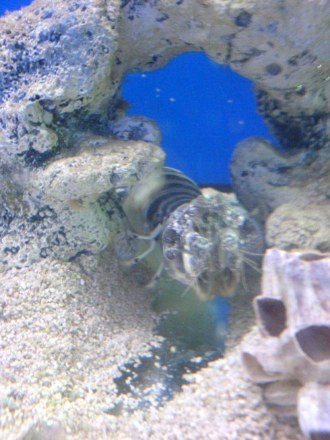 DSC00168.jpg