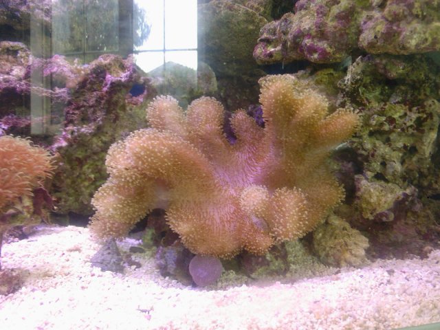 Photo-0216.jpg