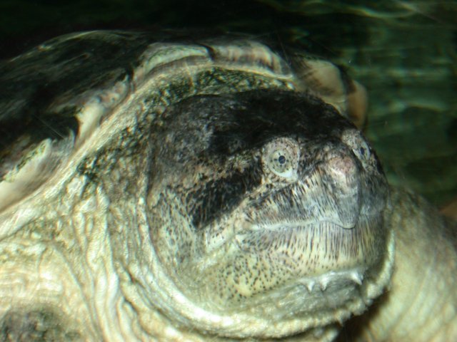 DSCN6888.JPG