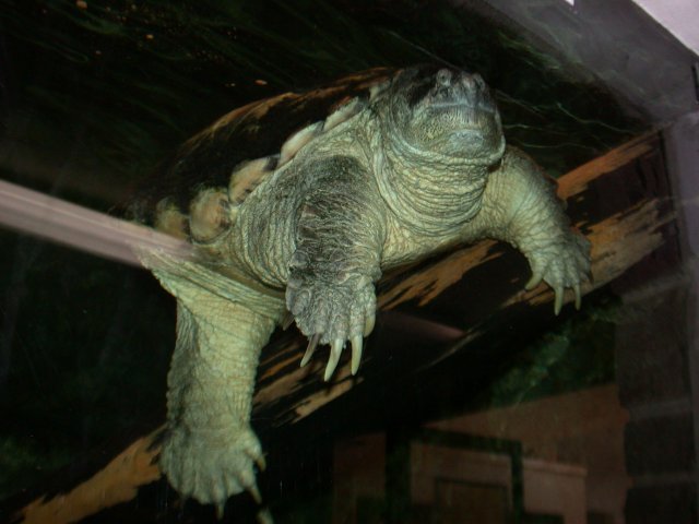 DSCN6889.JPG