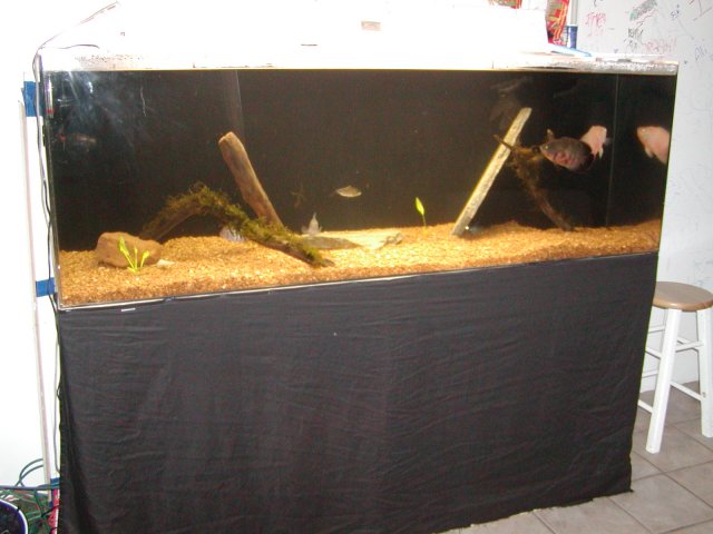P1010349.JPG