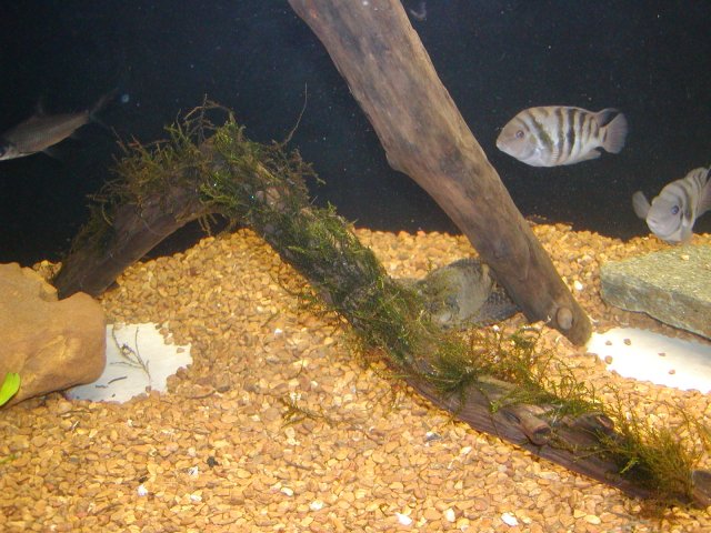 P1010359.JPG