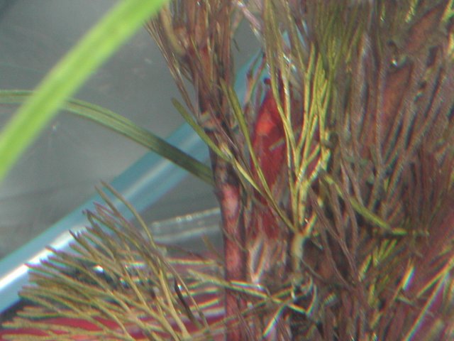 P1010002.JPG