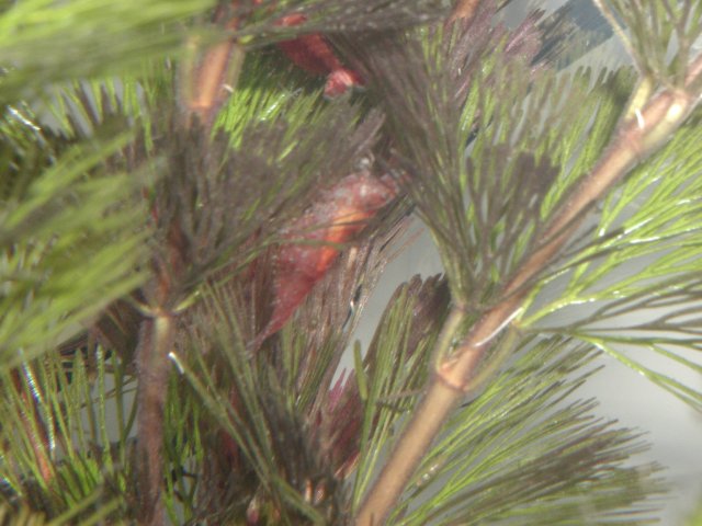 P1010004.JPG
