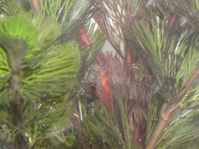 P1010005.JPG