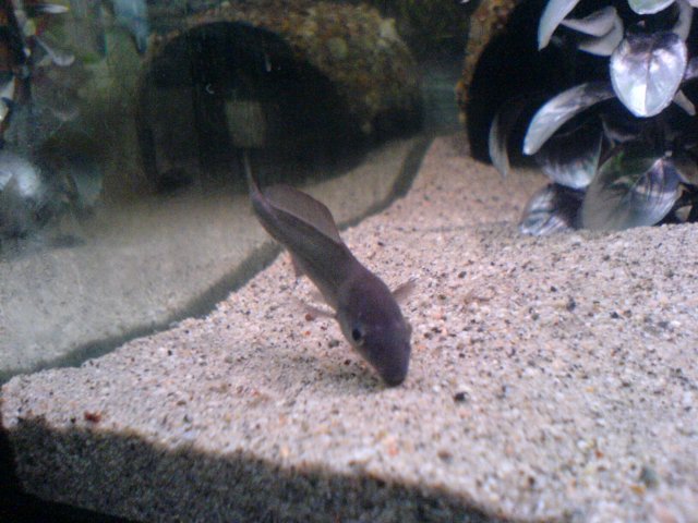 DSC01847.JPG