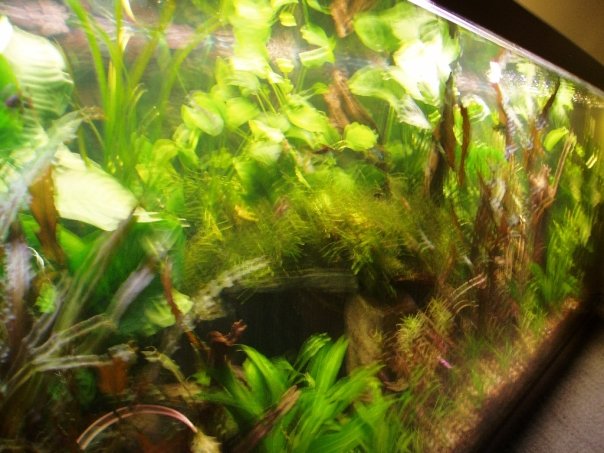 n500507511_396144_1212.jpg