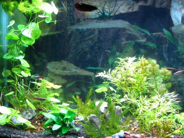 IMG_0047.JPG IMG_0047.JPG