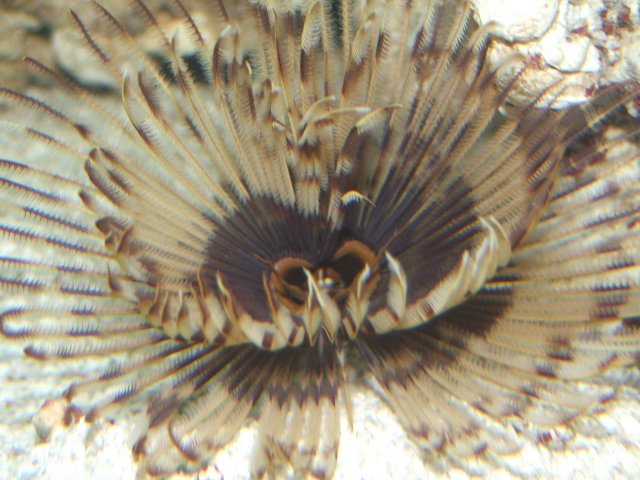 DSCF5139.JPG