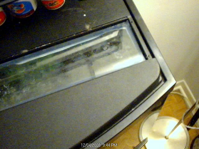 Picture 4.jpg