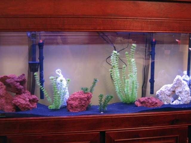 full tank horiz.jpg full tank horiz.jpg