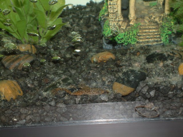 DSCF0019.JPG