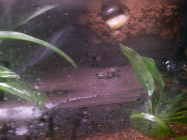 100_0595.JPG
