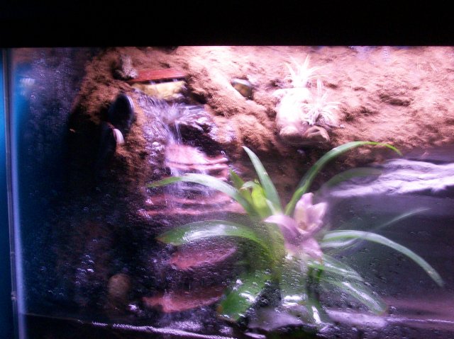 100_0596.JPG