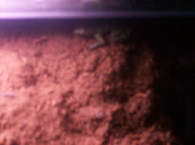 100_0589.JPG