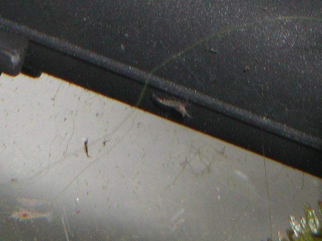P1010016.JPG
