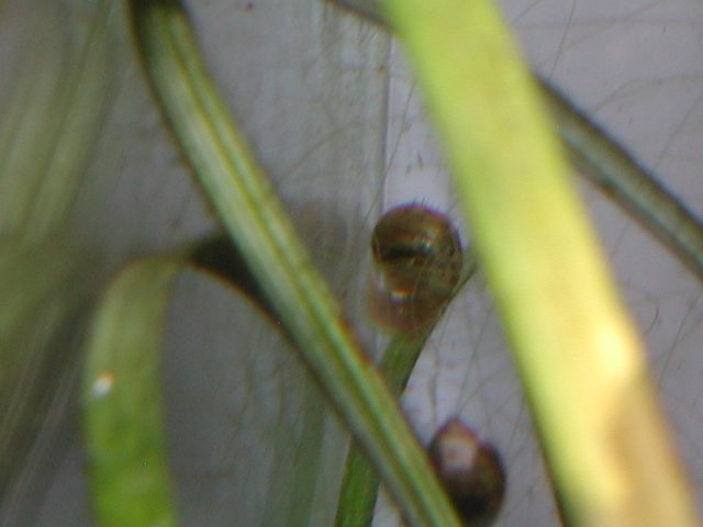 P1010018.JPG