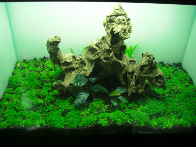 CIMG0290.JPG