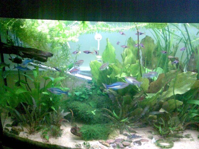 Image037.jpg