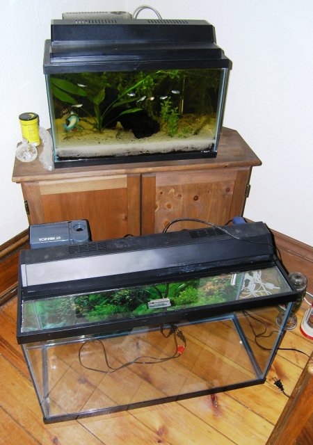 29 gallon and 10 gallon.JPG