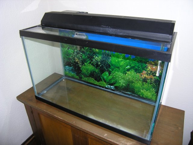 Bare tank step 1.JPG