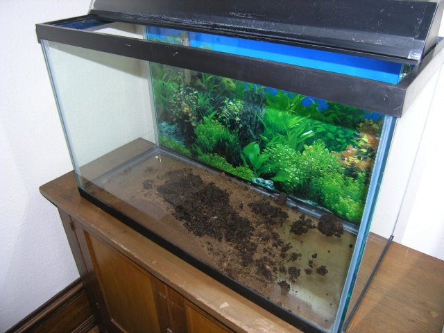 adding peat step 2.JPG