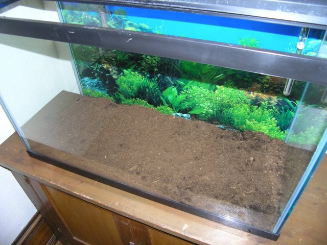 peat spread out step 3.JPG
