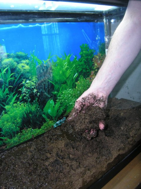 saturating peat step 4.JPG